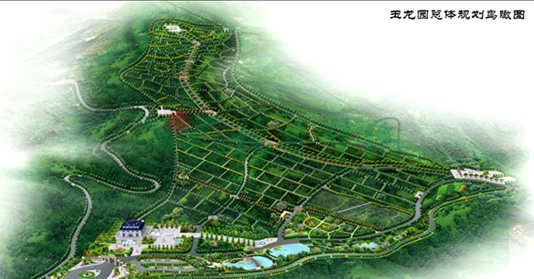 九五至尊VI-老品牌值得信任!