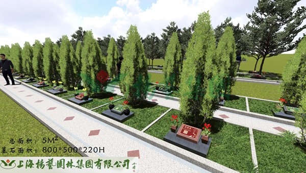 九五至尊VI-老品牌值得信任!