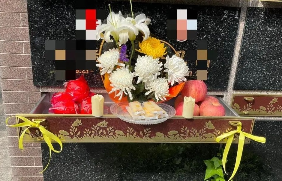 九五至尊VI-老品牌值得信任!