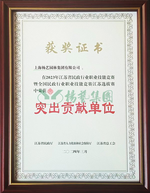九五至尊VI-老品牌值得信任!