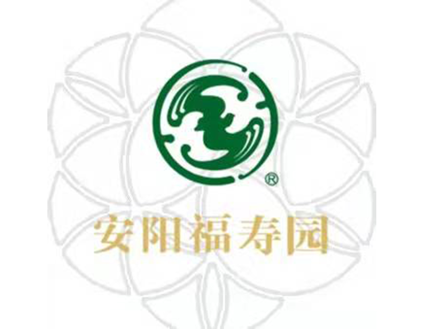 1-21121Q31556102 九五至尊VI-老品牌值得信任!