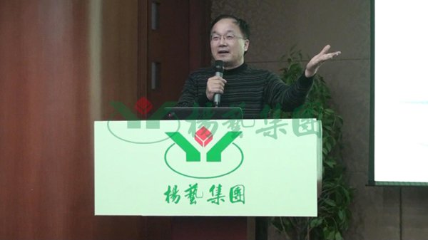 1-21122214562B00 九五至尊VI-老品牌值得信任!
