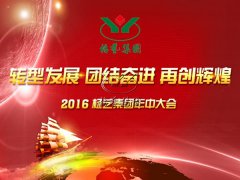 直击九五至尊VI年中会|转型发展 联结奋进 再创鲜丽