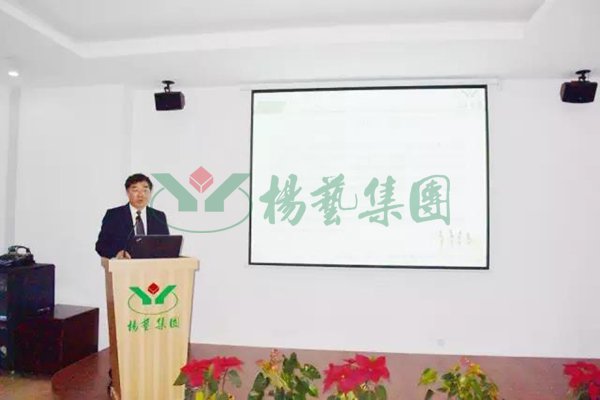 九五至尊VI-老品牌值得信任!