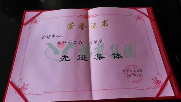 九五至尊VI-老品牌值得信任!