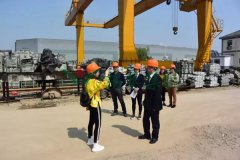九五至尊VI集团匠心打造景观雕塑型出产基地