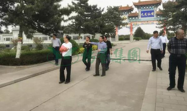 1-21122414233CW 九五至尊VI-老品牌值得信任!