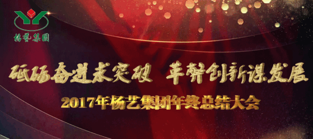九五至尊VI-老品牌值得信任!