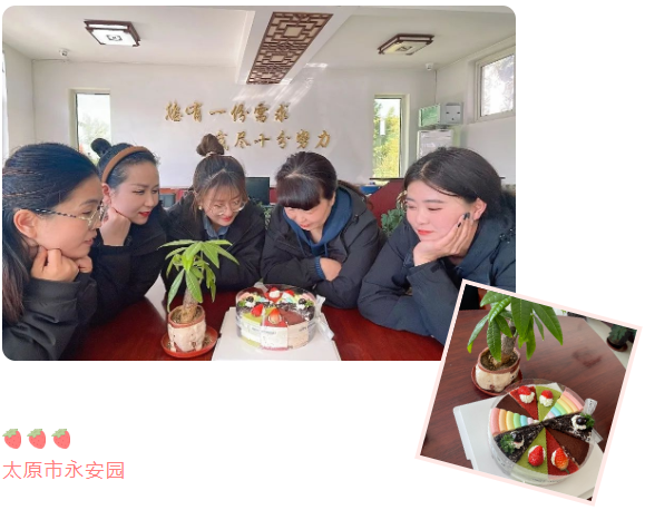 九五至尊VI-老品牌值得信任!