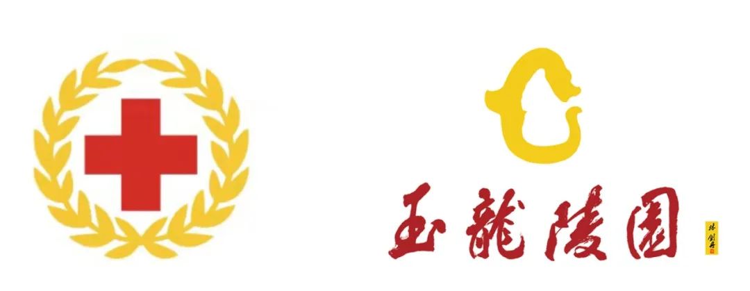1-220P30S601111 九五至尊VI-老品牌值得信任!