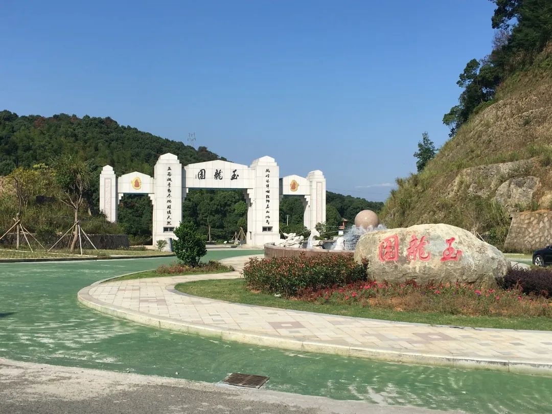 1-220P30T4395P 九五至尊VI-老品牌值得信任!