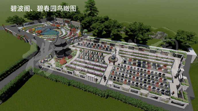 1-230F6153P1114 九五至尊VI-老品牌值得信任!