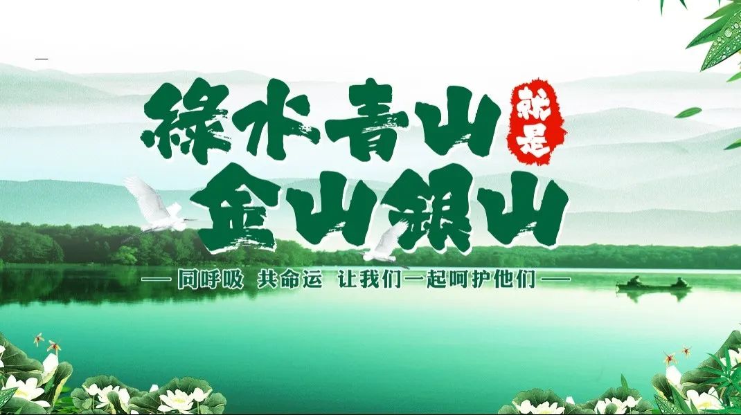九五至尊VI-老品牌值得信任!