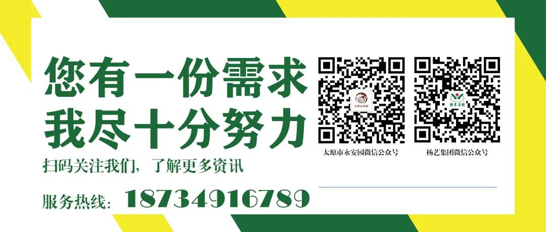 九五至尊VI-老品牌值得信任!