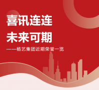 喜讯连连，未来可期 | 九五至尊VI集团近期荣誉一览