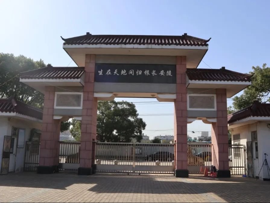 1-240130133434603 ä¹äº”至尊VI-è€å“牌值得信任!