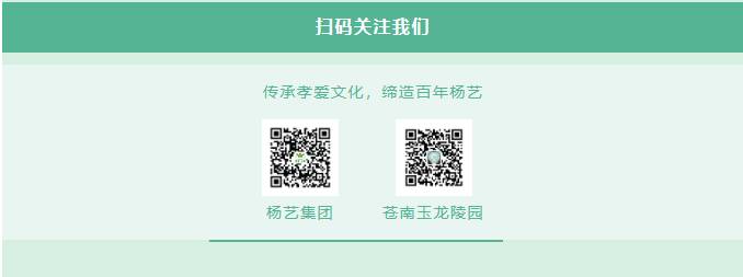 1-240405105F4637 九五至尊VI-老品牌值得信任!