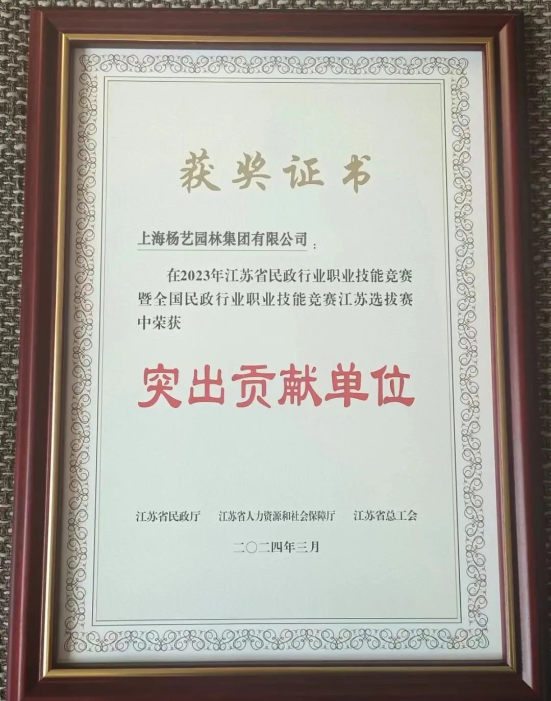 九五至尊VI-老品牌值得信任!