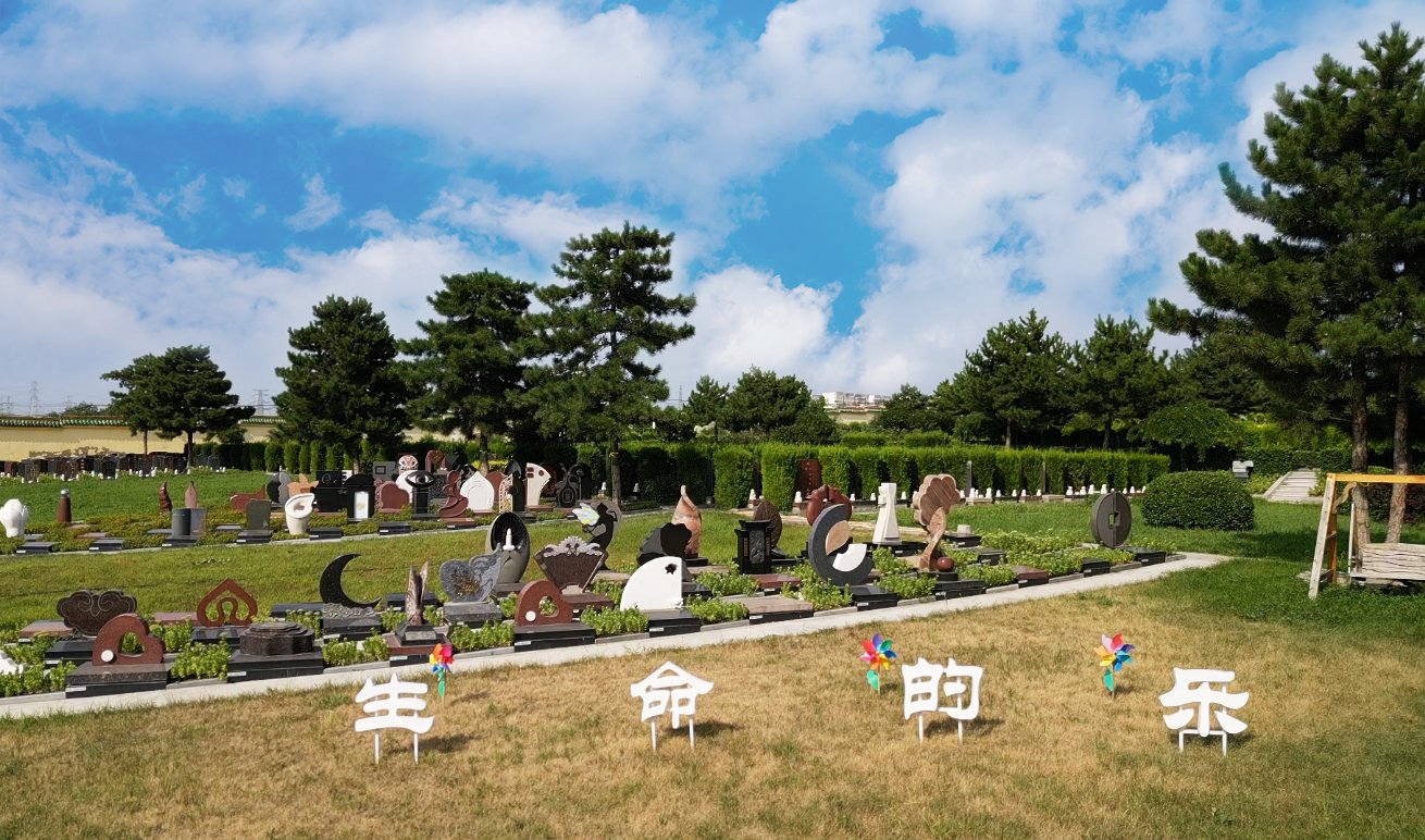 1-24062Q00443463 九五至尊VI-老品牌值得信任!