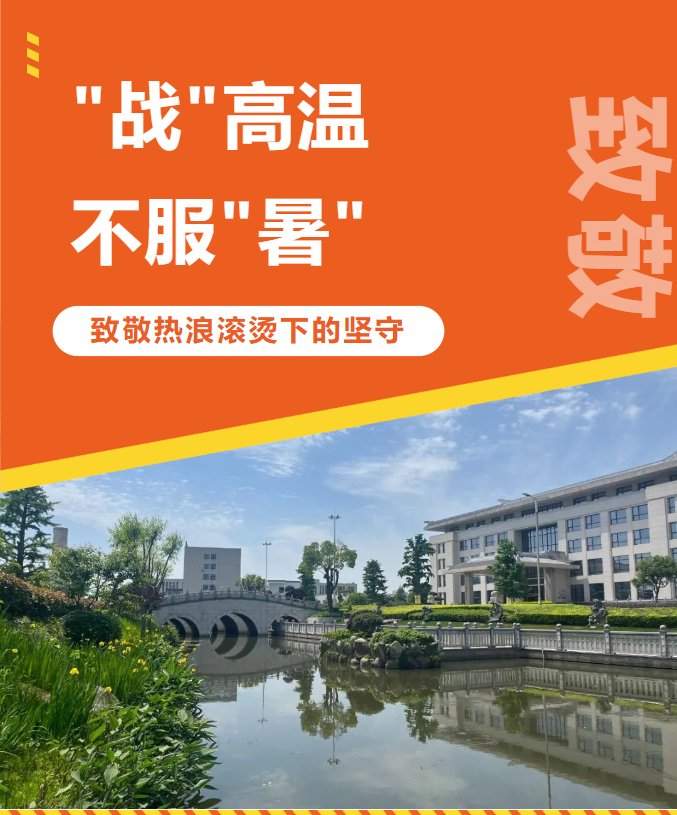 1-240H9135430I8 九五至尊VI-老品牌值得信任!