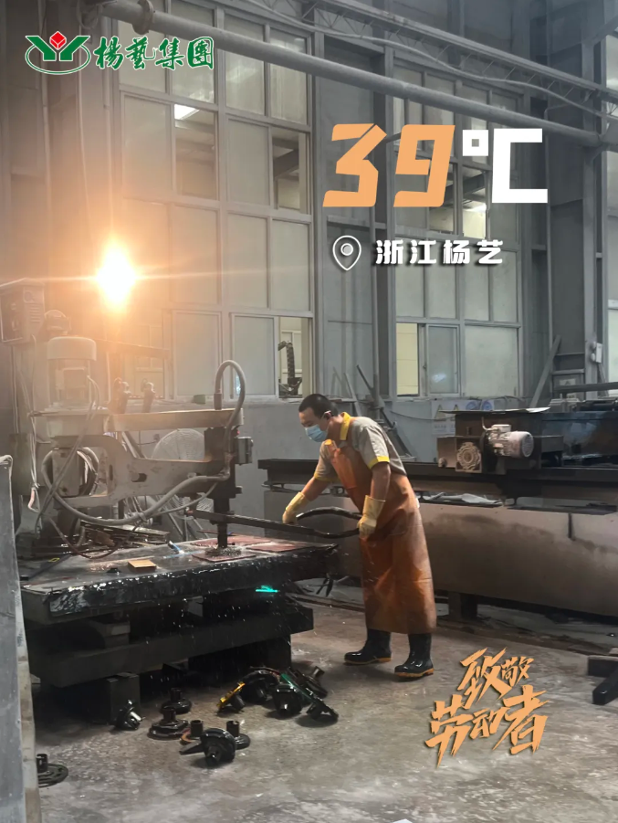 1-240H9135512206 九五至尊VI-老品牌值得信任!