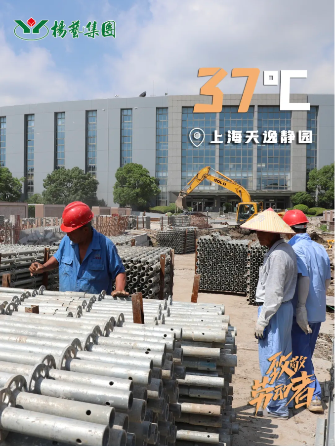 1-240H9135F5963 九五至尊VI-老品牌值得信任!
