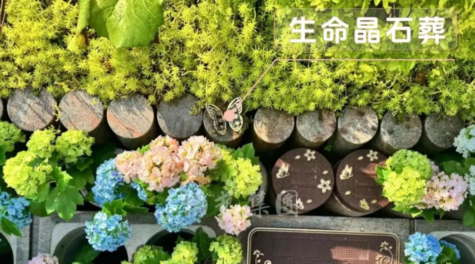 1-240H914334D49 九五至尊VI-老品牌值得信任!
