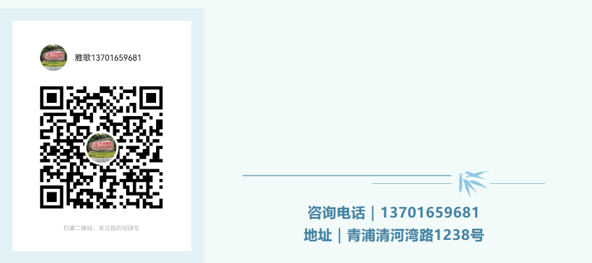 1-240ZG10009162 九五至尊VI-老品牌值得信任!