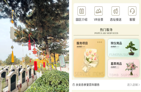 九五至尊VI-老品牌值得信任!