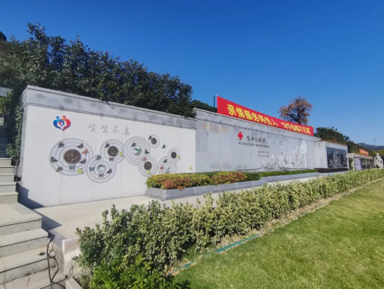 1-2412020T2324C 九五至尊VI-老品牌值得信任!