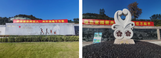 1-2412020T24O62 九五至尊VI-老品牌值得信任!
