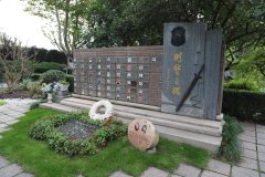 致敬“安然卫士”，铭刻“刑警之魂”