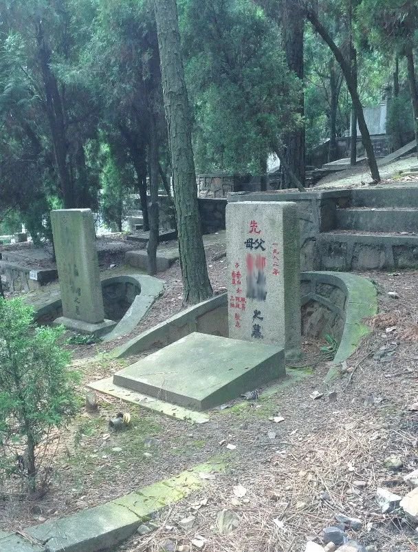1-2502241046264F 九五至尊VI-老品牌值得信任!