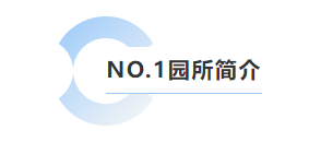 九五至尊VI-老品牌值得信任!