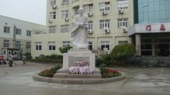 石雕匠心，镌刻医者风华
