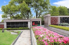 归于天然，泽被后世：解读现代生态葬及其创新趋向