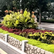 无机仿真石花箱：以永恒之名，塑未来之境