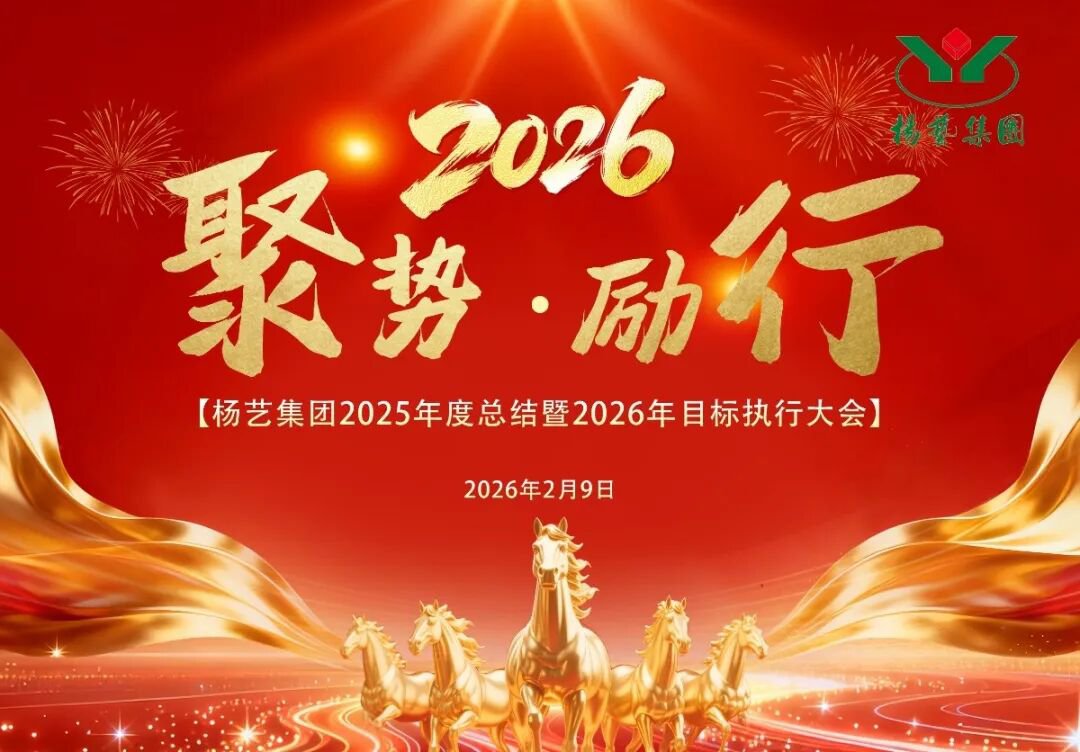 九五至尊VI-老品牌值得信任!