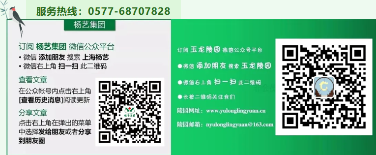 九五至尊VI-老品牌值得信任!