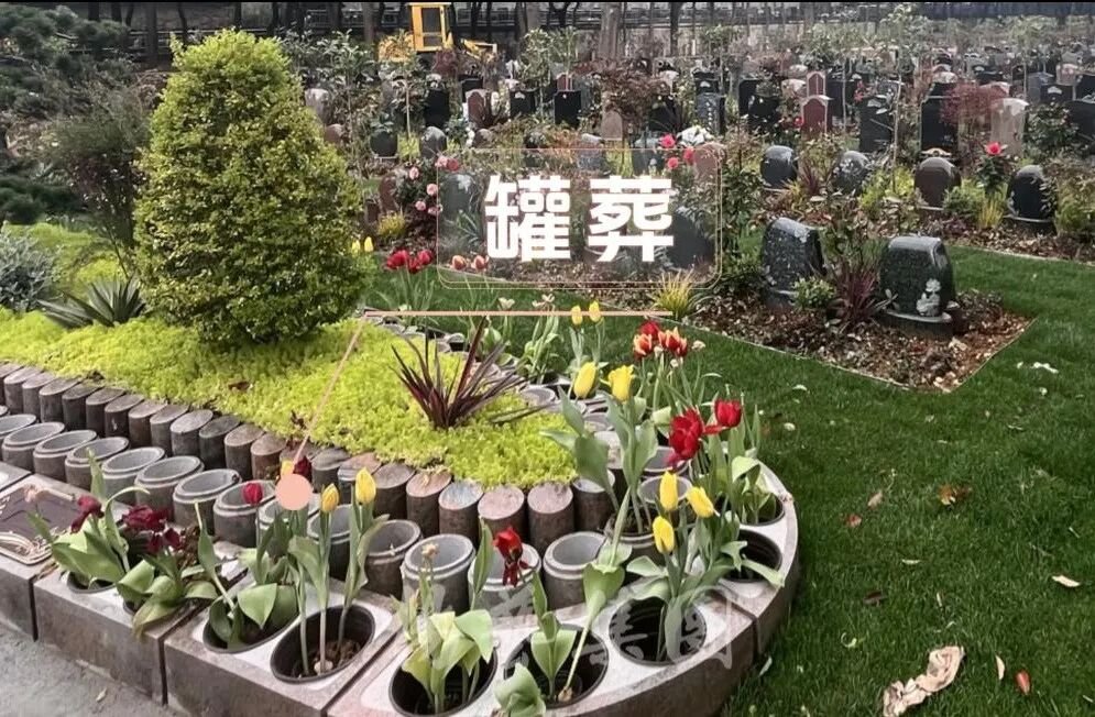 九五至尊VI-老品牌值得信任!